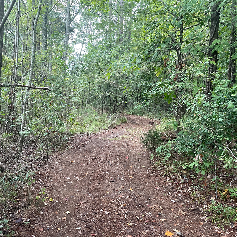 Head's Creek Trail